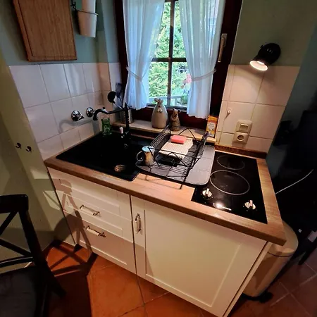 Apartment Harzgeist *