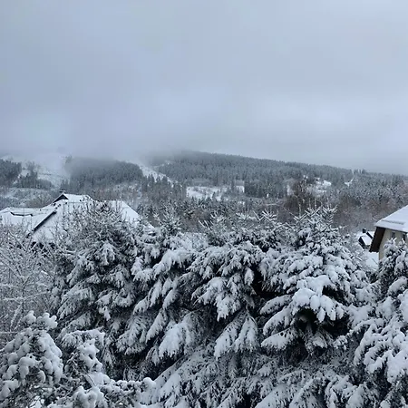 Διαμέρισμα Harzgeist *