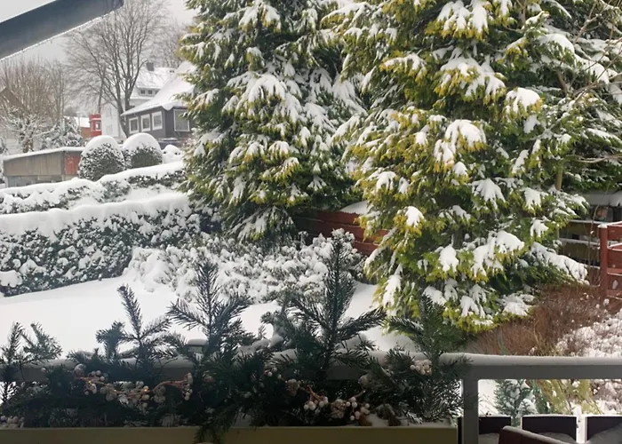 Apartman Harzgeist *